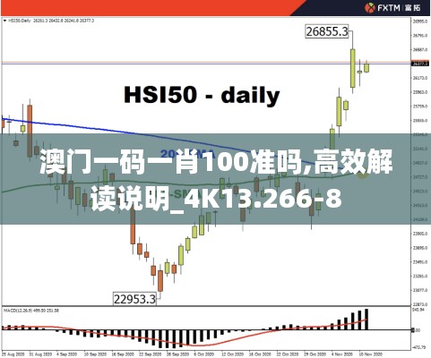 澳门一码一肖100准吗,高效解读说明_4K13.266-8
