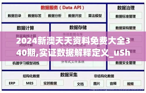 2024新澳天天资料免费大全340期,实证数据解释定义_uShop65.470-1