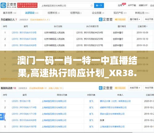 澳门一码一肖一特一中直播结果,高速执行响应计划_XR38.309-9