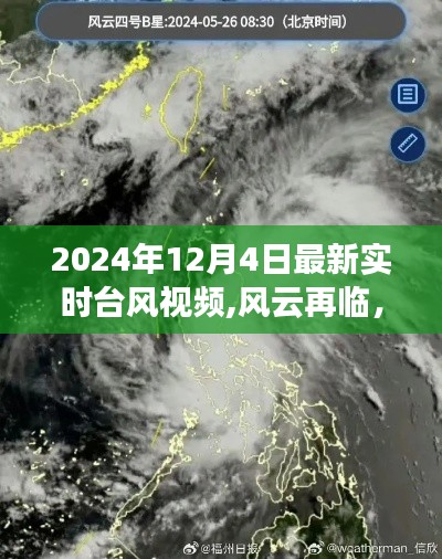 风云再临，最新实时台风视频测评介绍（2024年12月4日）
