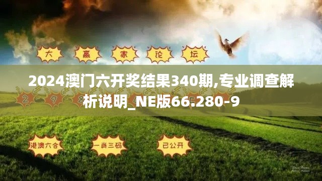 2024澳门六开奖结果340期,专业调查解析说明_NE版66.280-9