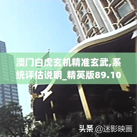 澳门白虎玄机精准玄武,系统评估说明_精英版89.102