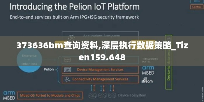 373636bm查询资料,深层执行数据策略_Tizen159.648