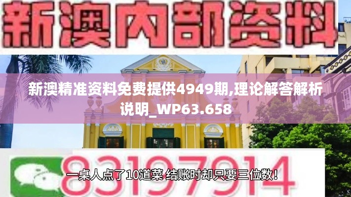 新澳精准资料免费提供4949期,理论解答解析说明_WP63.658