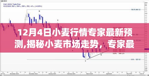 揭秘小麦市场走势，专家最新预测解析（日期，XX月XX日行情版）
