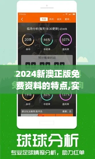 2024新澳正版免费资料的特点,实效设计计划解析_粉丝款22.662