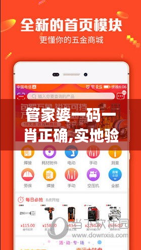 管家婆一码一肖正确,实地验证数据计划_模拟版43.673
