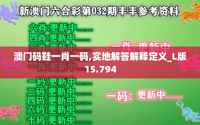 澳门码鞋一肖一码,实地解答解释定义_L版15.794