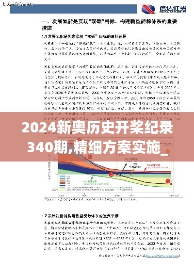 2024新奥历史开桨纪录340期,精细方案实施_tShop35.675-9