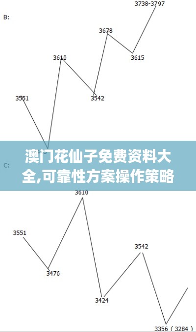 澳门花仙子免费资料大全,可靠性方案操作策略_Hybrid92.232
