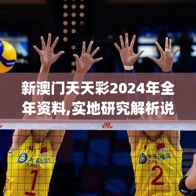 新澳门天天彩2024年全年资料,实地研究解析说明_标配版77.224