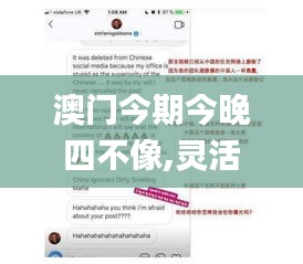 澳门今期今晚四不像,灵活设计操作方案_AR87.988