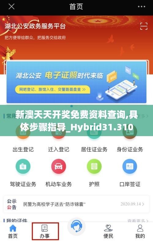 新澳天天开奖免费资料查询,具体步骤指导_Hybrid31.310