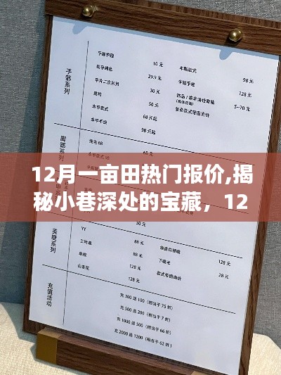 揭秘小巷深处的宝藏，一亩田热门报价背后的独特小店故事与报价解析
