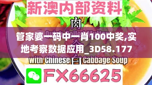 管家婆一码中一肖100中奖,实地考察数据应用_3D58.177