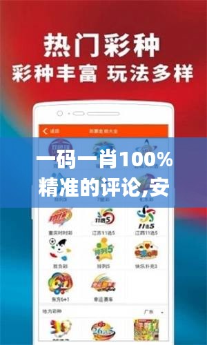 一码一肖100%精准的评论,安全性策略解析_4DM95.476