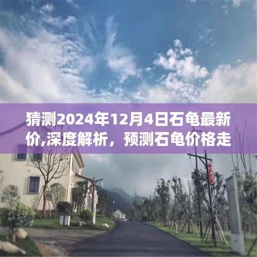 深度解析与预测，2024年12月4日石龟最新价及其价格走向
