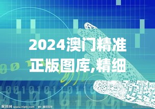2024澳门精准正版图库,精细策略分析_watchOS41.462