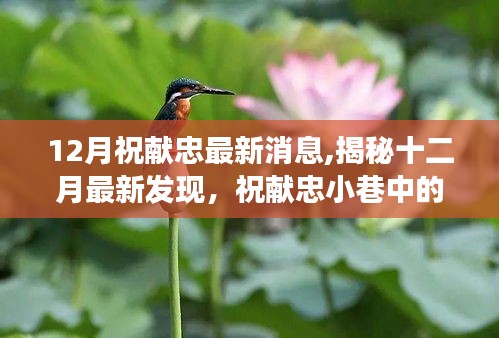 揭秘祝献忠最新动态，十二月隐藏美食天堂
