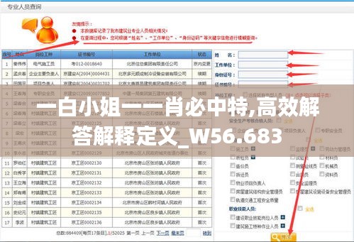 一白小姐一一肖必中特,高效解答解释定义_W56.683
