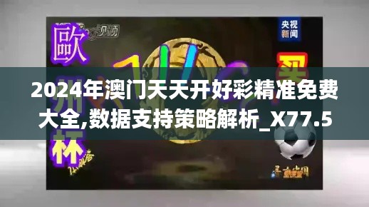 2024年澳门天天开好彩精准免费大全,数据支持策略解析_X77.506