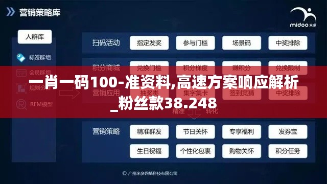 一肖一码100-准资料,高速方案响应解析_粉丝款38.248