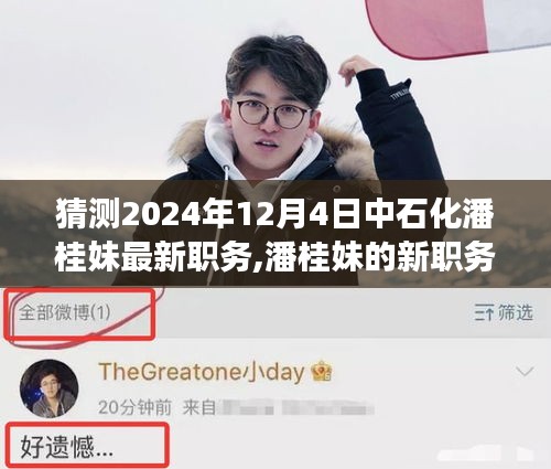 潘桂妹新职务猜想之旅，探寻自然美景与内心平静的力量，中石化潘桂妹职务展望2024年12月4日