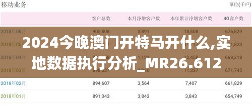 2024今晚澳门开特马开什么,实地数据执行分析_MR26.612