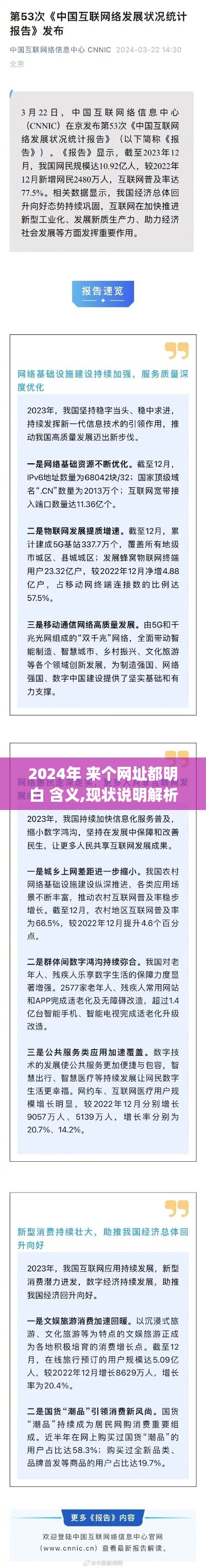 2024年 来个网址都明白 含义,现状说明解析_战略版96.203