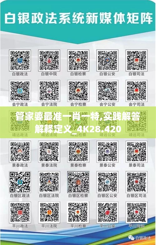 管家婆最准一肖一特,实践解答解释定义_4K28.420