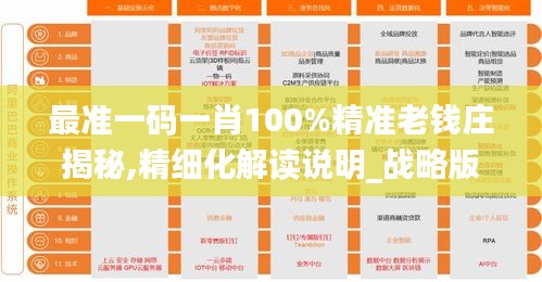 最准一码一肖100%精准老钱庄揭秘,精细化解读说明_战略版95.691