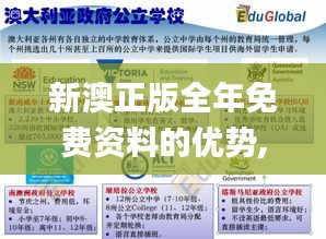 新澳正版全年免费资料的优势,资源实施策略_XE版48.934