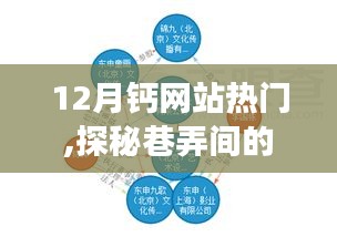 探秘热门钙网站下的隐秘巷弄美食——钙巷小食馆上榜报道