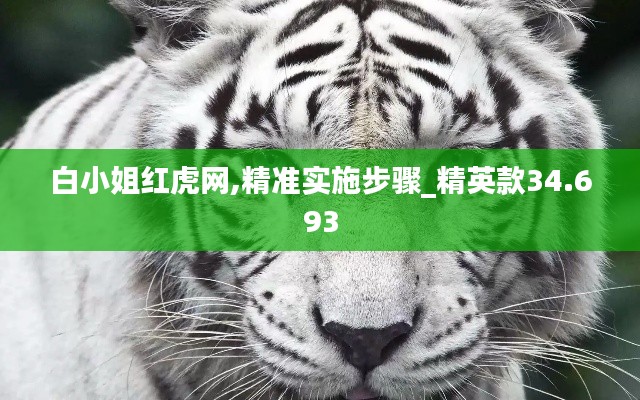 白小姐红虎网,精准实施步骤_精英款34.693