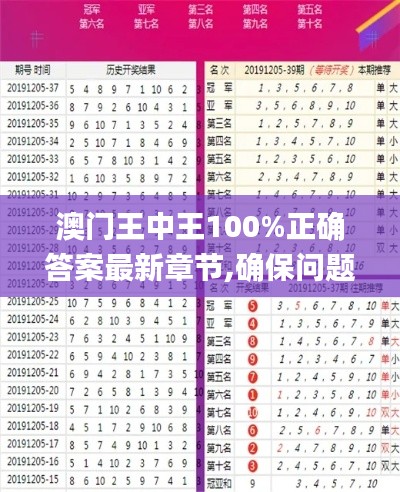 澳门王中王100%正确答案最新章节,确保问题说明_WP82.604