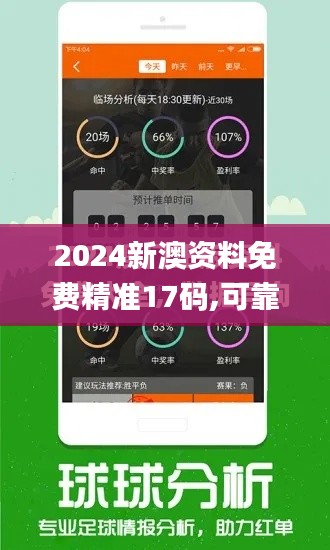 2024新澳资料免费精准17码,可靠性计划解析_The14.119