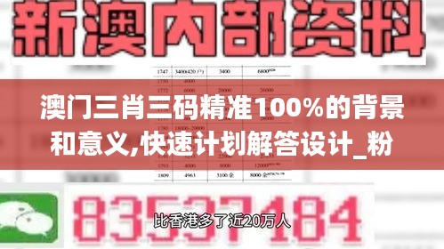 澳门三肖三码精准100%的背景和意义,快速计划解答设计_粉丝版51.810
