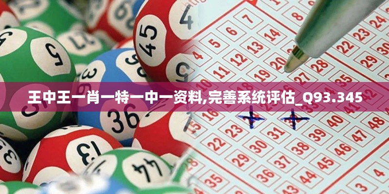 王中王一肖一特一中一资料,完善系统评估_Q93.345