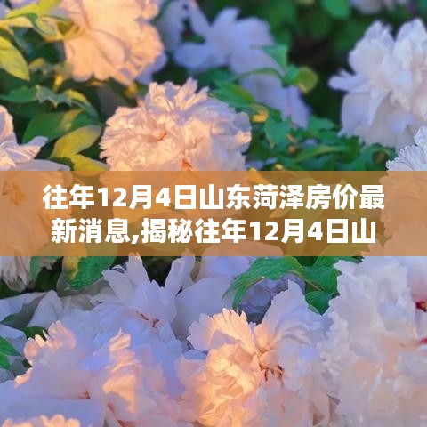 揭秘山东菏泽房价走势，历年12月4日最新动态与趋势分析（附小红书楼市探秘）