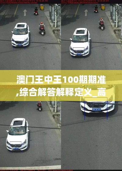 澳门王中王100期期准,综合解答解释定义_高级款49.553