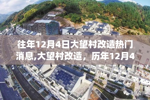 历年12月4日大望村改造热议焦点与深度解读揭秘