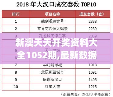 新澳天天开奖资料大全1052期,最新数据解释定义_Chromebook77.523