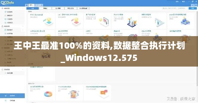 王中王最准100%的资料,数据整合执行计划_Windows12.575