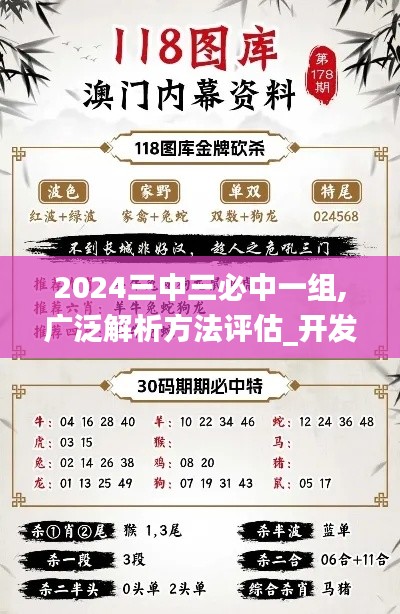 2024三中三必中一组,广泛解析方法评估_开发版158.172