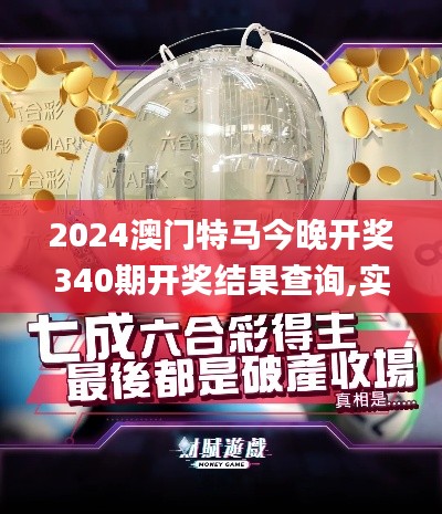 2024澳门特马今晚开奖340期开奖结果查询,实地考察数据设计_进阶版171.709-9