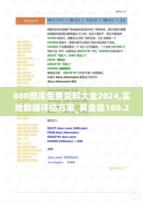 800图库免费资料大全2024,实地数据评估方案_黄金版180.203