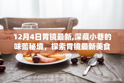 探索胃镜最新美食小店，小巷中的味蕾秘境
