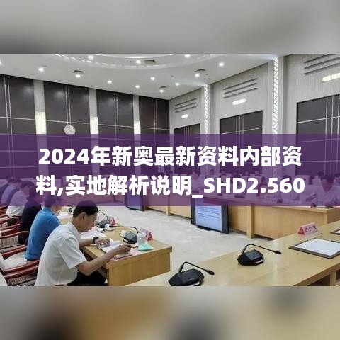 2024年新奥最新资料内部资料,实地解析说明_SHD2.560