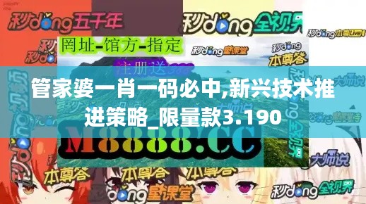 管家婆一肖一码必中,新兴技术推进策略_限量款3.190
