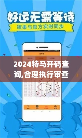 2024特马开码查询,合理执行审查_精简版5.363